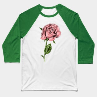 Rose Print Baseball T-Shirt